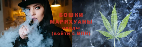 сатива Аркадак