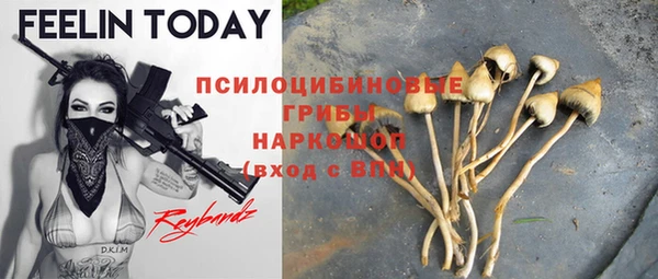 первитин Армянск